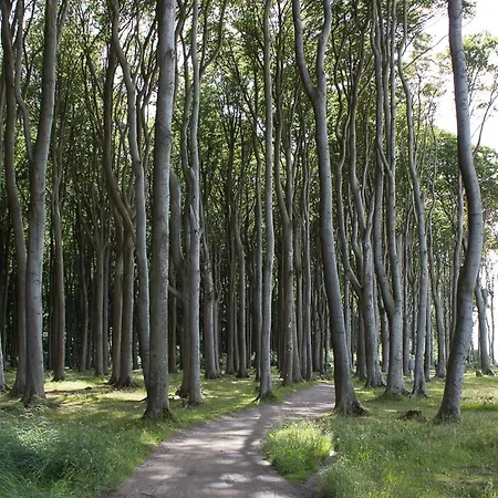 Gesine 2 أوستسيباد نينهاجن